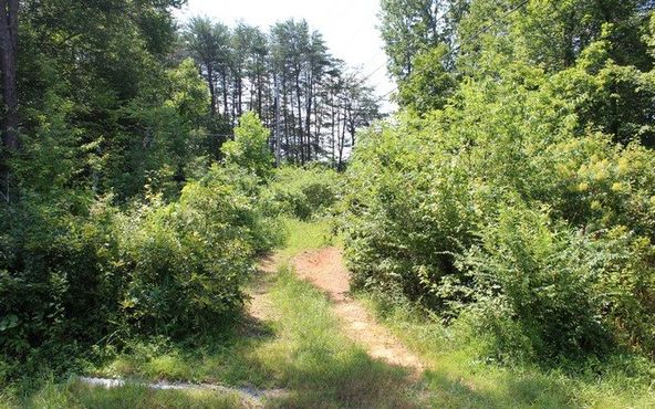 HWY 64 E-COLD BRANCH: Hwy 64 E-Cold Branch, Hayesville, NC 28904